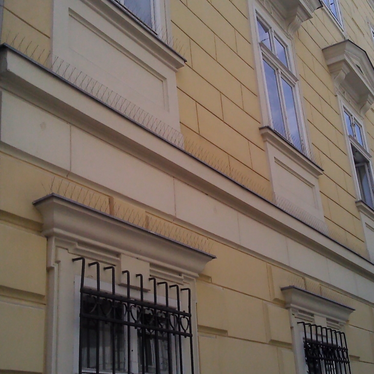 Espanta Pássaros